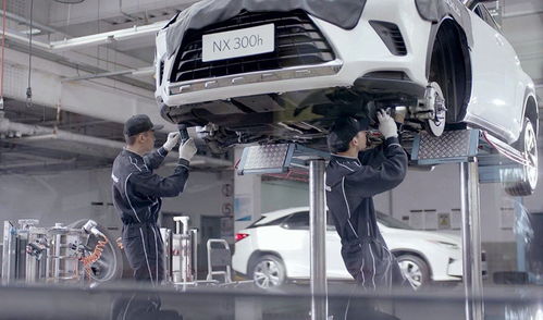 不想賺我們的錢(qián)？這個(gè)品牌火到加價(jià)，但為何不國(guó)產(chǎn)