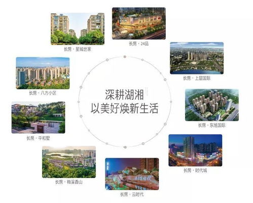買好房，找長房 承諾十六載，物業服務鑄就堅實后盾